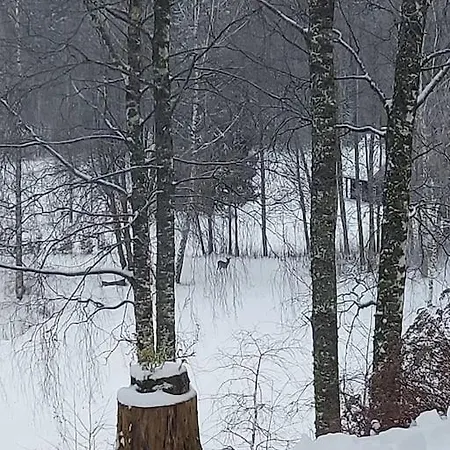 Privaatne Suure Kinnistuga Elamu Otepaal. Villa Otepaa