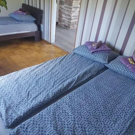 Villa Privaatne Suure Kinnistuga Elamu Otepaal. *
